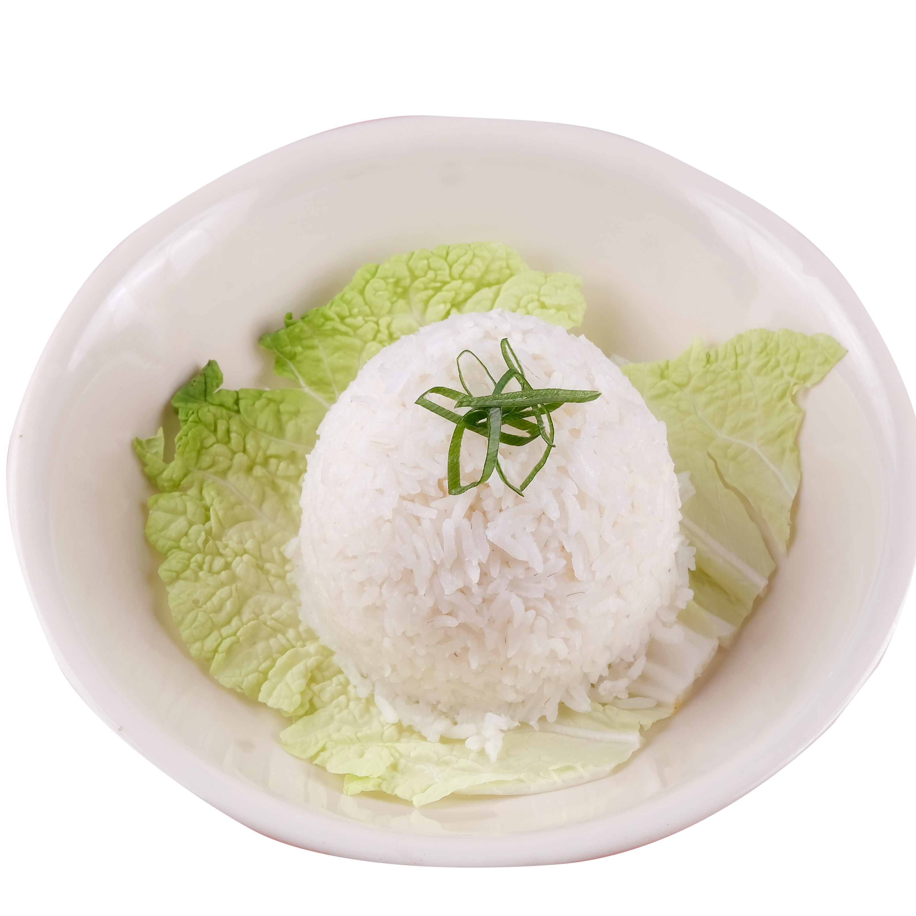 Plain Rice Main Image