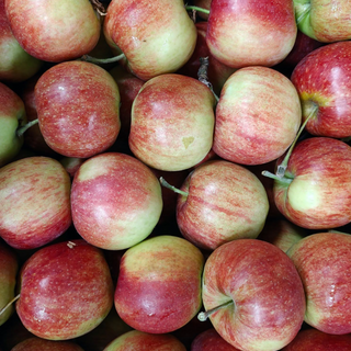 Appels (3kg) van Fruitteler Tom Goedhuys