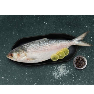 Whole Hilsa/Pulsa