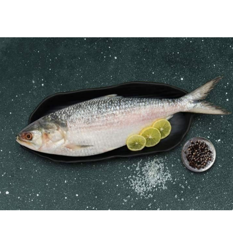 Whole Hilsa/Pulsa Main Image