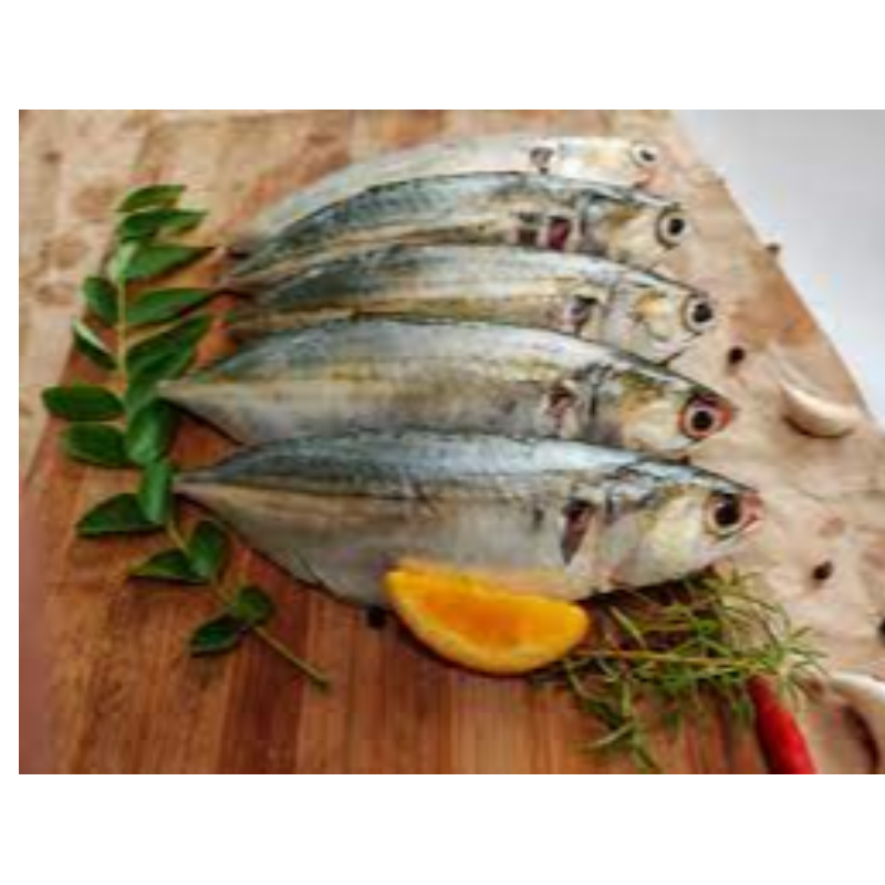 Indian Mackerel Main Image