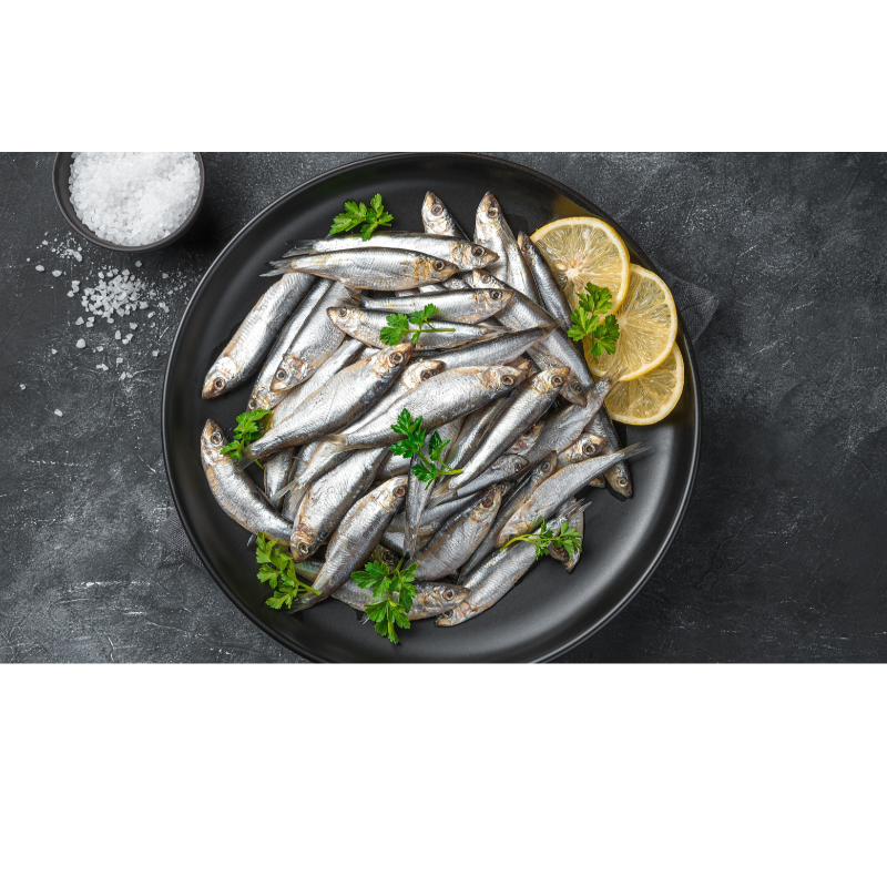 Sardines Main Image