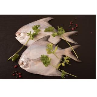 White/Silver pomfret (1lb)