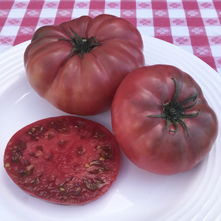 Brandyfred Dwarf Tomato Image