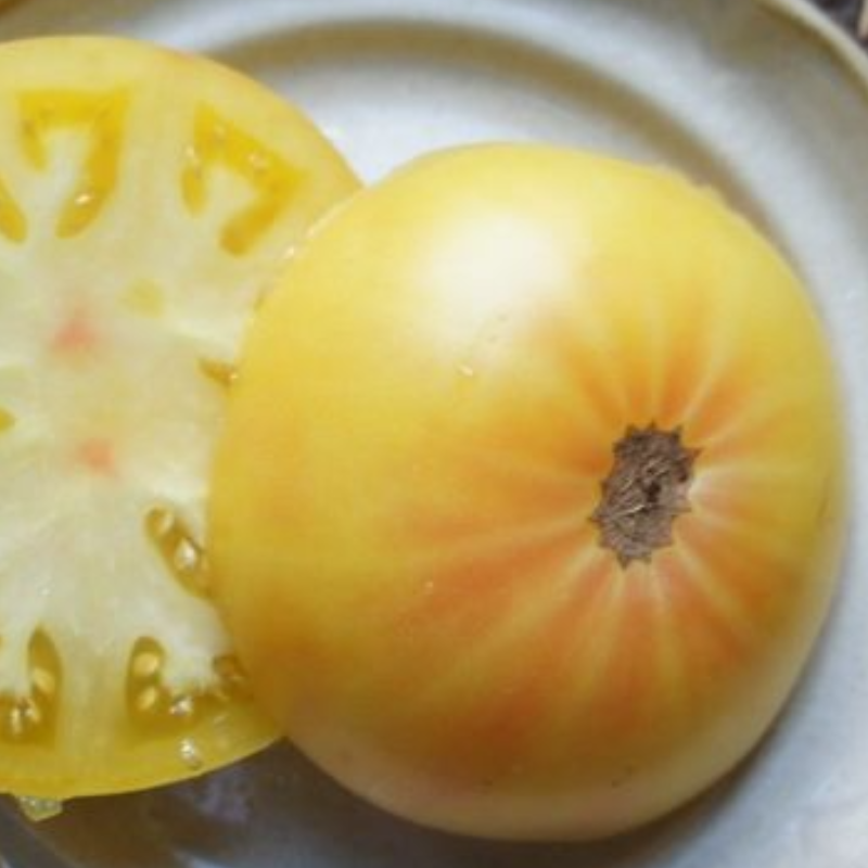 Mr. Snow Dwarf Tomato Large Image