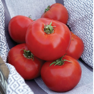 Siletz Tomato Image