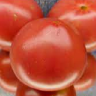 Willa's Caribou Rose Dwarf Tomato Image