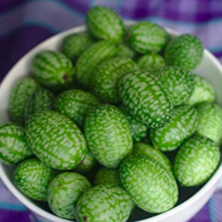 Mexican Sour Gherkin Image