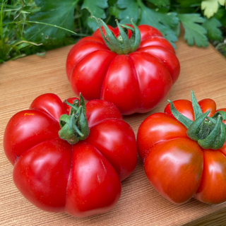 Costoluto Genovese Tomato Image