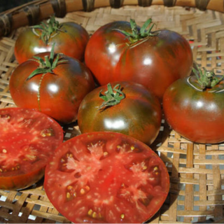 Paul Robeson Tomato Image