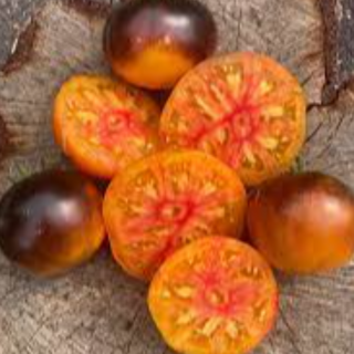 Lucid Gem Tomato Image