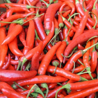 Thai Pepper Image