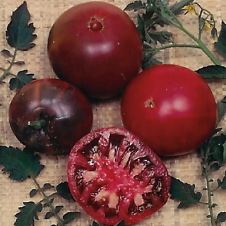 Black Krim Tomato Image