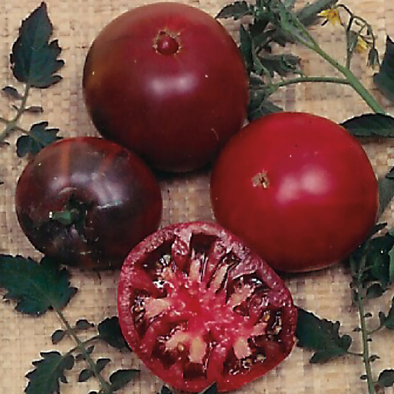 Black Krim Tomato Large Image