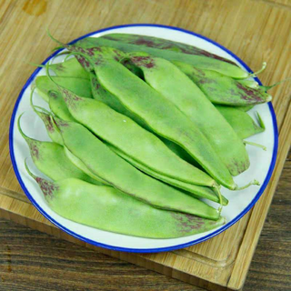 SEED PACKET: Chinese Oil Beans Image